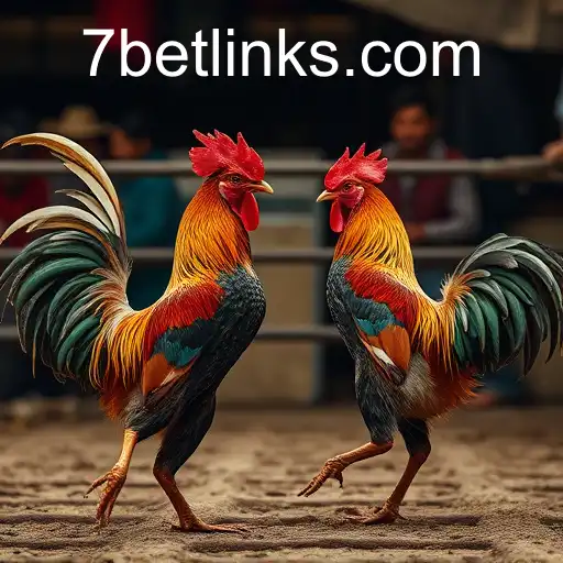 The Complex World of Cockfighting and the Role of 7Bet